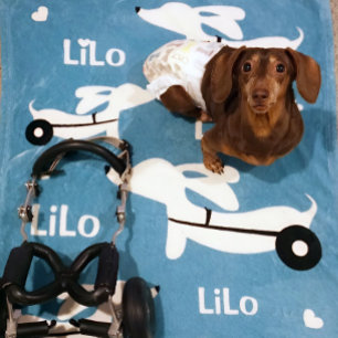 Dachshund IVDD Rolstoel voor Wheelie Doxies Fleece Deken