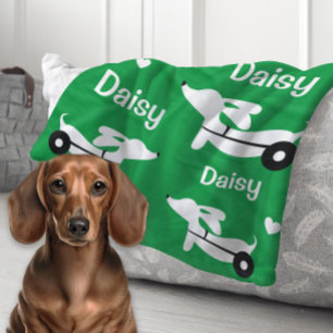 Dachshund IVDD Rolstoel Wiener Hond Groene Deken
