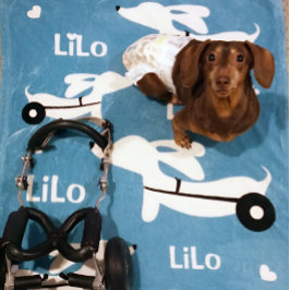 Dachshund IVDD Rolstoel Wiener Hondendeken Fleece Deken