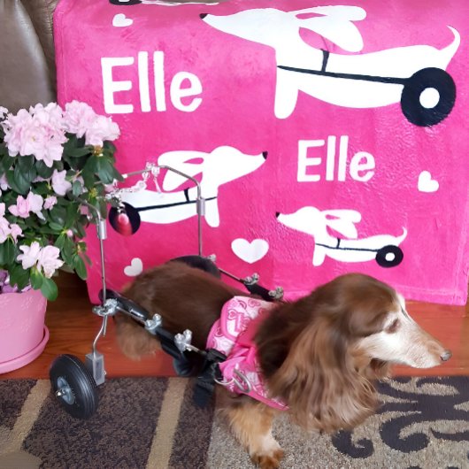 Dachshund IVDD Rolstoel Wienerse Hond Roze Deken