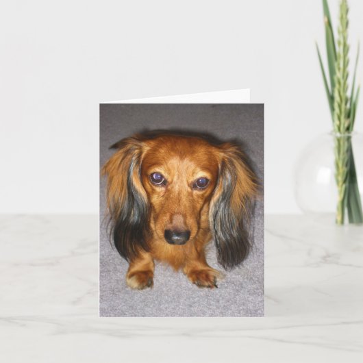 Dachshund Kaart (Voorkant)