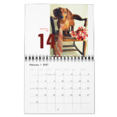Dachshund-kalender 2013 - piepkleine kroonkreeft kalender (Feb 2027)