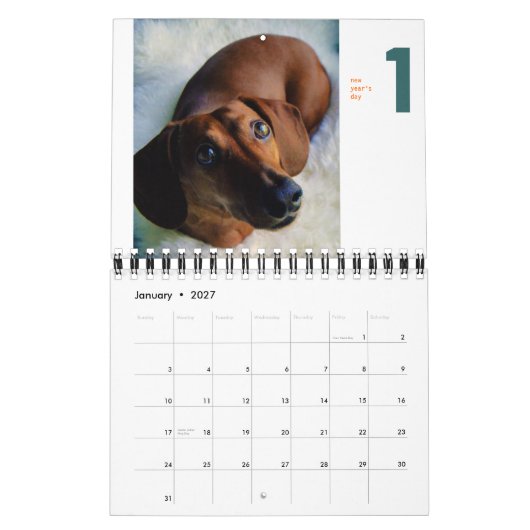 Dachshund-kalender 2013 - piepkleine kroonkreeft kalender (Jan 2027)