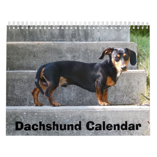 Dachshund kalender 2016 Voeg jouw foto's toe (Hoes)