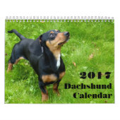 Dachshund Kalender 2023 Met Jouw Foto's (Hoes)
