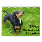 Dachshund Kalender 2025 met uw foto's (Hoes)