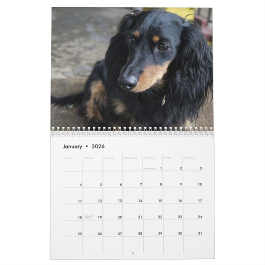 Dachshund Kalender 2025 met uw foto's (Jan 2026)