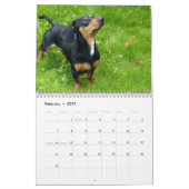 Dachshund Kalender 2025 met uw foto's (Feb 2027)