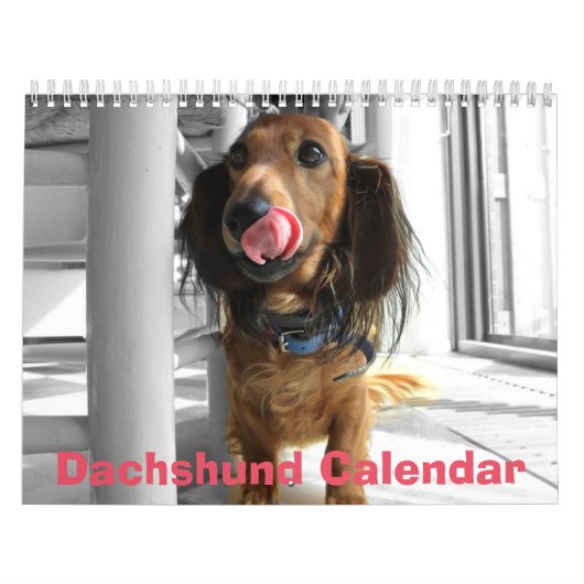 Dachshund Kalender 2025 Uw aangepaste foto's (Hoes)