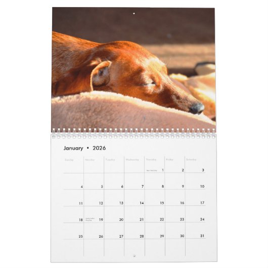 Dachshund Kalender 2025 Uw aangepaste foto's (Jan 2026)