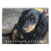 Dachshund Kalender 2026 (Hoes)