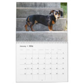 Dachshund kalender 2026 met foto's (Jan 2026)