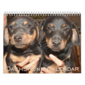 Dachshund Kalender 2026 Met Foto's (Hoes)