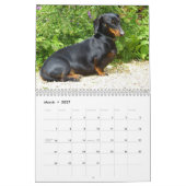 Dachshund Kalender Met Jouw Foto's (Mar 2027)