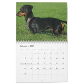 Dachshund Kalender Met Jouw Foto's (Feb 2027)