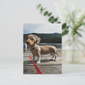 Dachshund kan beter leven met een Dachshund Birthd Briefkaart (Staand voorkant)