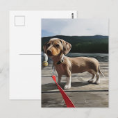 Dachshund kan beter leven met een Dachshund Birthd Briefkaart (Voorkant / Achterkant)