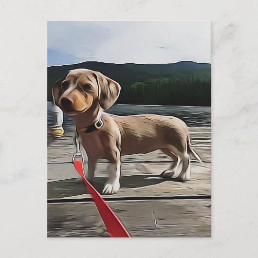 Dachshund kan beter leven met een Dachshund Birthd Briefkaart (Voorkant)