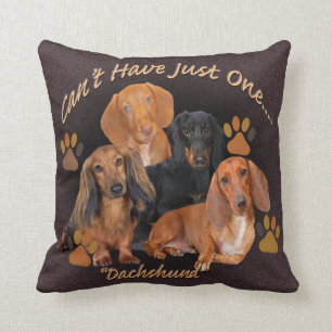 Dachshund kan niet slechts één piloot hebben kussen