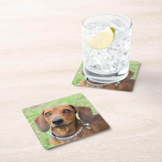 Dachshund Kartonnen Onderzetters (Insitu)