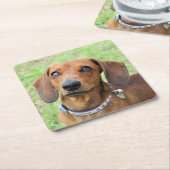 Dachshund Kartonnen Onderzetters (Schuin)