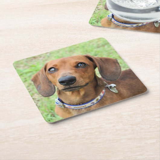 Dachshund Kartonnen Onderzetters (Schuin)