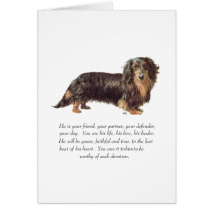 Dachshund Keepomwille - Male