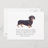 Dachshund Keepomwille - Male Briefkaart (Voorkant / Achterkant)