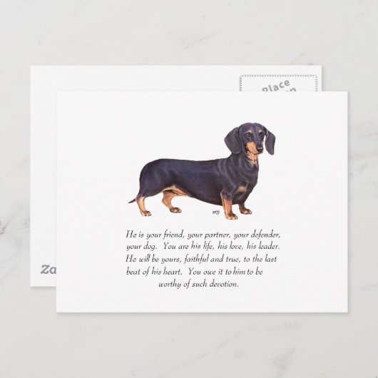 Dachshund Keepomwille - Male Briefkaart (Voorkant / Achterkant)