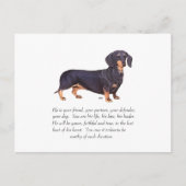 Dachshund Keepomwille - Male Briefkaart (Voorkant)