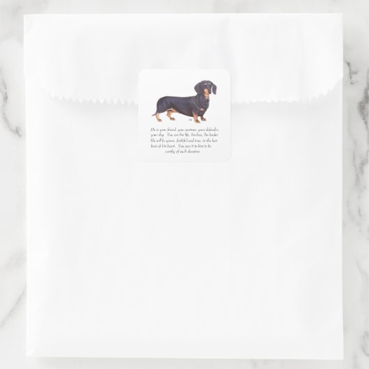 Dachshund Keepomwille - Male Vierkante Sticker (Tas)
