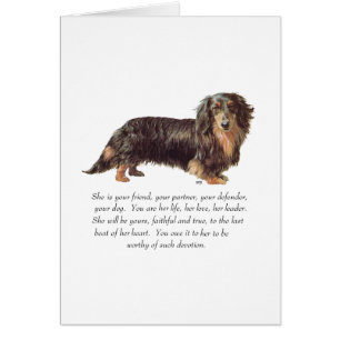 Dachshund Keepomwille - Vrouw