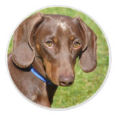 Dachshund Keramische Knop (Voorkant)