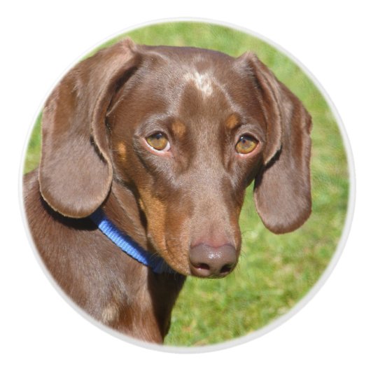 Dachshund Keramische Knop (Voorkant)