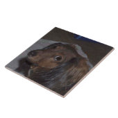 Dachshund-keramische tegel met lange adem tegeltje (Zijkant)