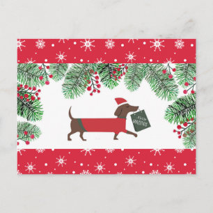 Dachshund Kerst Cute Hond Sneeuwvlokken Hulst Briefkaart