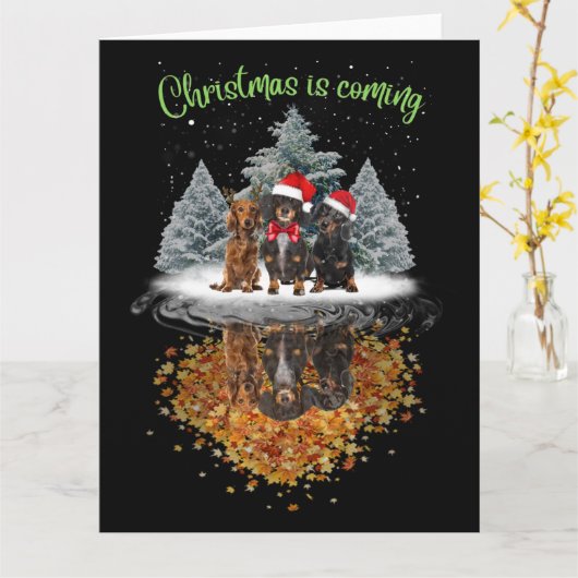 Dachshund Kerst komt eraan Cute Dog Graphic Tee Kaart (Gele Bloem)