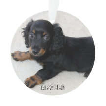 Dachshund Kerst Ornament Acryl Voeg Foto Toe