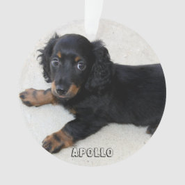 Dachshund Kerst Ornament Acryl Voeg Foto Toe