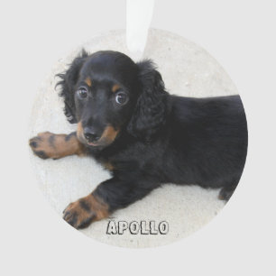 Dachshund Kerst Ornament Acryl Voeg Foto Toe