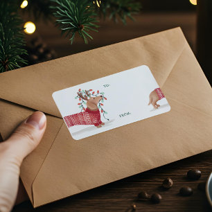 Dachshund kersthond Cozy Sweater met licht Etiket