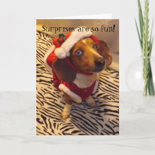 Dachshund-kerstkaart Feestdagen Kaart