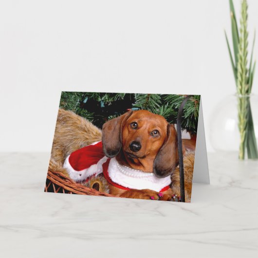 Dachshund-kerstkaart Feestdagen Kaart (Voorkant)