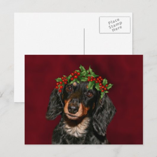 Dachshund Kerstmis Feestdagenkaart (Voorkant / Achterkant)
