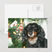 Dachshund Kerstmis Feestdagenkaart (Voorkant / Achterkant)