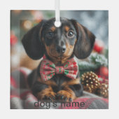 Dachshund Kerstmis Glas Ornament (Voorkant)