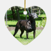 Dachshund Kerstmis Keramisch Ornament (Achterkant)