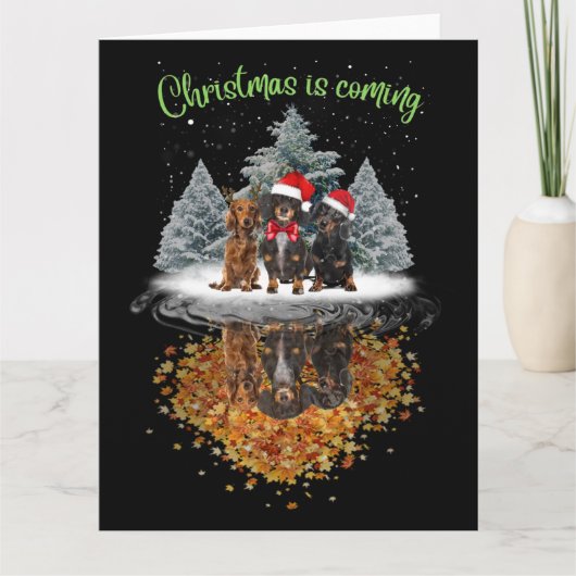 Dachshund Kerstmis Komt Aardig Hond Grafisch T-Shi Kaart (Voorkant)