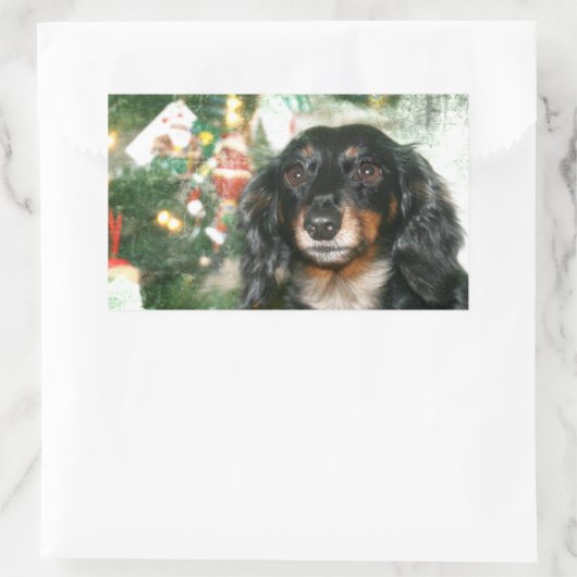 Dachshund Kerstmis Rechthoekige Sticker (Tas)