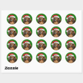 Dachshund Kerstmis Ronde Sticker (Vel)